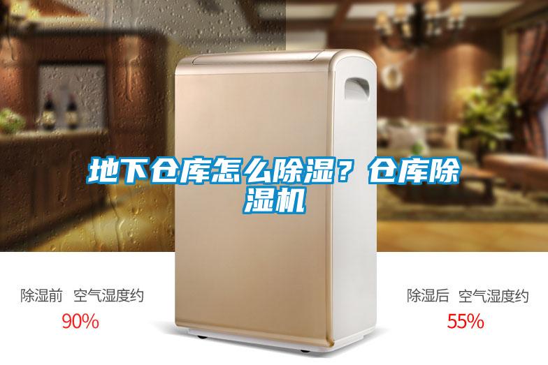 地下倉庫怎麽除濕？倉庫草莓视频下载网址