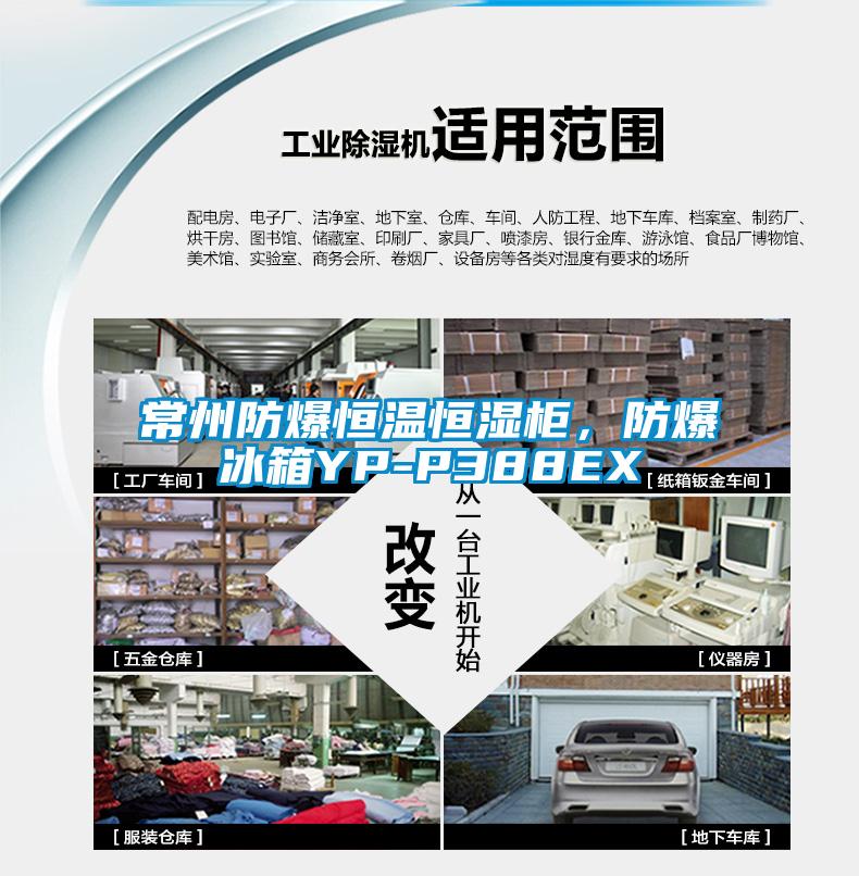 常州防爆恒溫恒濕櫃，防爆冰箱YP-P388EX