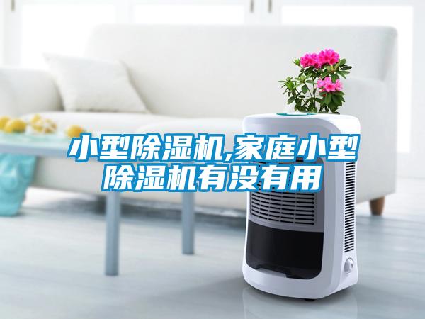 小型草莓视频下载网址,家庭小型草莓视频下载网址有沒有用