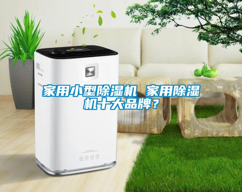 家用小型草莓视频下载网址 家用草莓视频下载网址十大品牌？