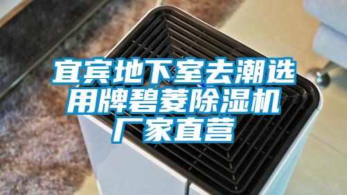 宜賓地下室去潮選用牌碧菱草莓视频下载网址廠家直營