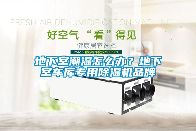 地下室潮濕怎麽辦？地下室車庫專用草莓视频下载网址品牌
