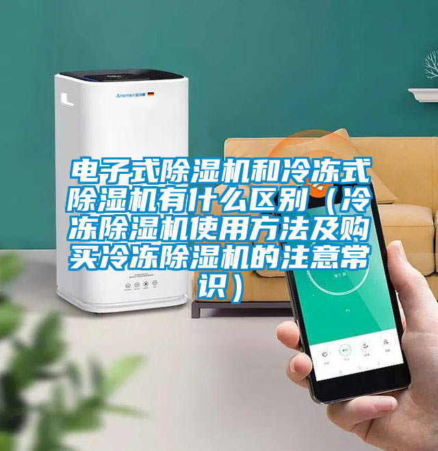 電子式草莓视频下载网址和冷凍式草莓视频下载网址有什麽區別（冷凍草莓视频下载网址使用方法及購買冷凍草莓视频下载网址的注意常識）