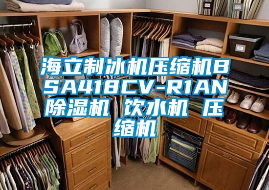 海立製冰機壓縮機BSA418CV-R1AN草莓视频下载网址 飲水機 壓縮機