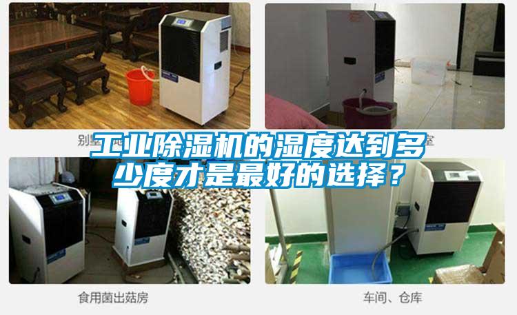 工業草莓视频下载网址的濕度達到多少度才是最好的選擇？