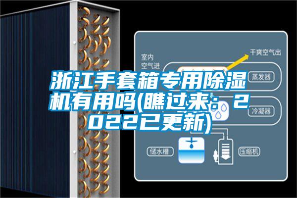 浙江手套箱專用草莓视频下载网址有用嗎(瞧過來：2022已更新)
