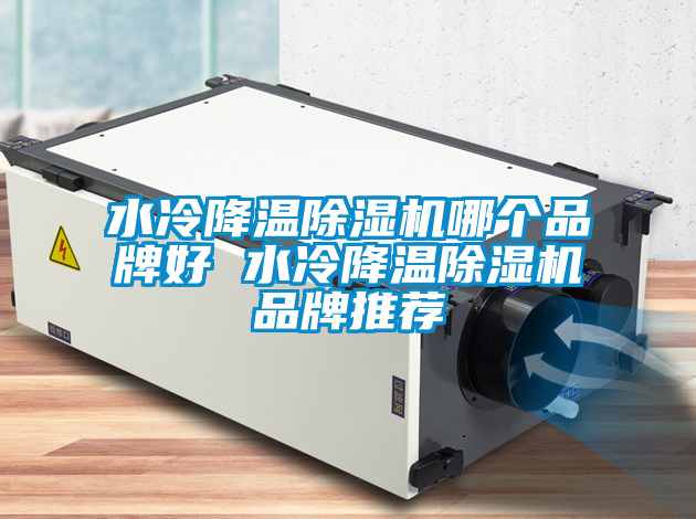 水冷降溫草莓视频下载网址哪個品牌好 水冷降溫草莓视频下载网址品牌推薦