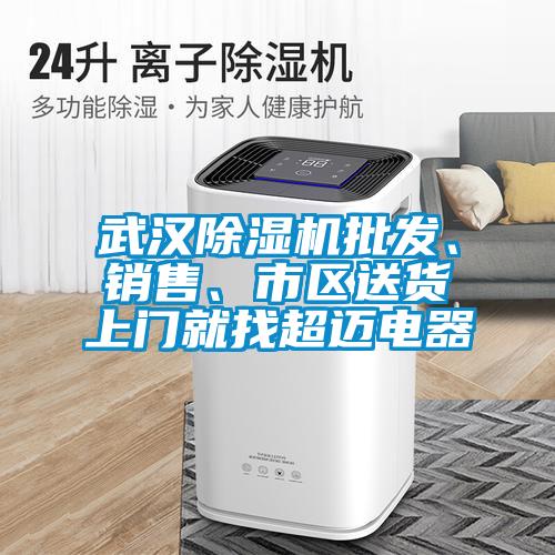 武漢草莓视频下载网址批發、銷售、市區送貨上門就找超邁電器