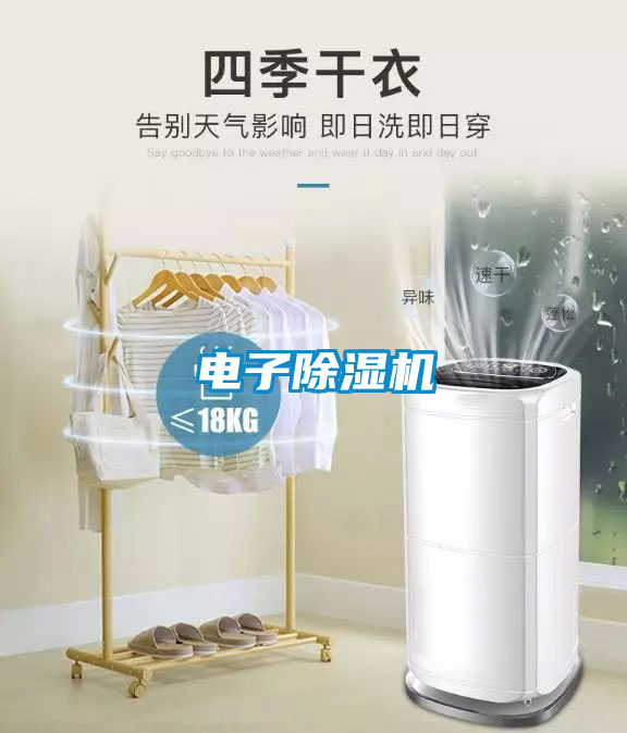 電子草莓视频下载网址