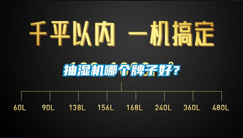 抽濕機哪個牌子好？