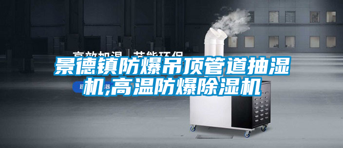 景德鎮防爆吊頂管道抽濕機,高溫防爆草莓视频下载网址