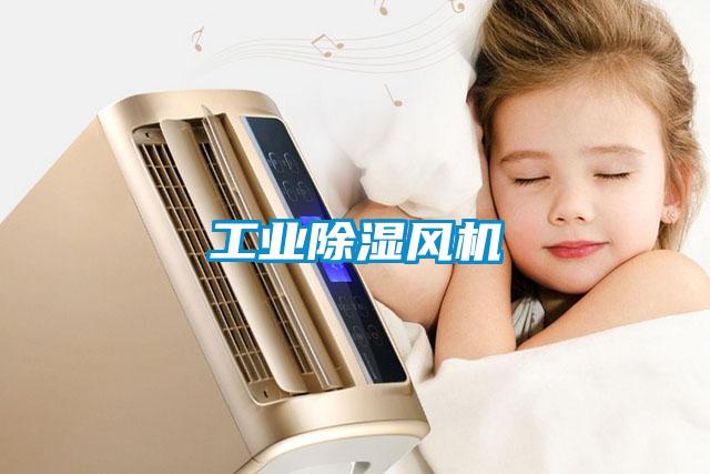 工業除濕風機