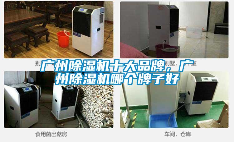 廣州草莓视频下载网址十大品牌，廣州草莓视频下载网址哪個牌子好