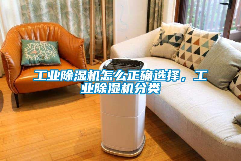 工業草莓视频下载网址怎麽正確選擇，工業草莓视频下载网址分類