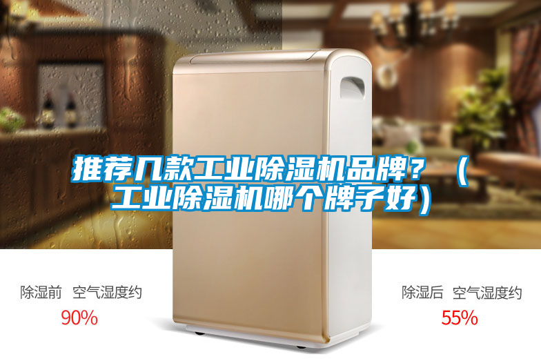 推薦幾款工業草莓视频下载网址品牌？（工業草莓视频下载网址哪個牌子好）