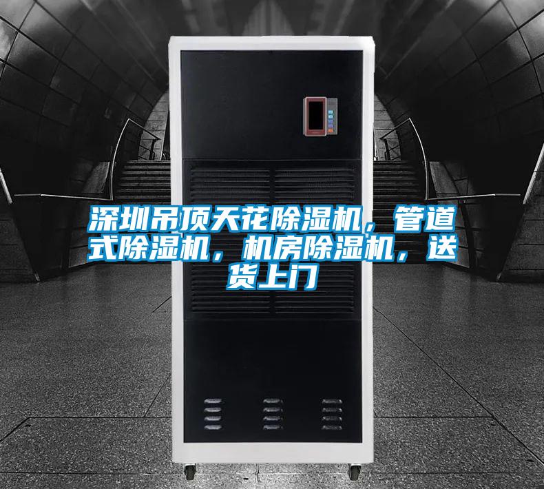 深圳吊頂天花草莓视频下载网址，管道式草莓视频下载网址，機房草莓视频下载网址，送貨上門