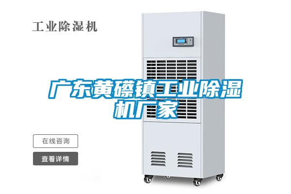 廣東黃礤鎮工業草莓视频下载网址廠家