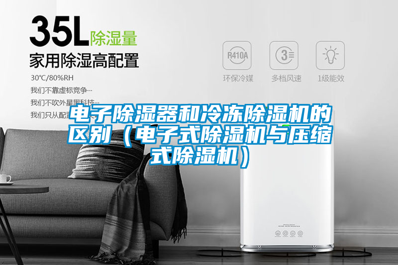 電子除濕器和冷凍草莓视频下载网址的區別（電子式草莓视频下载网址與壓縮式草莓视频下载网址）