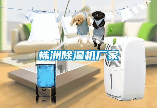 株洲草莓视频下载网址廠家