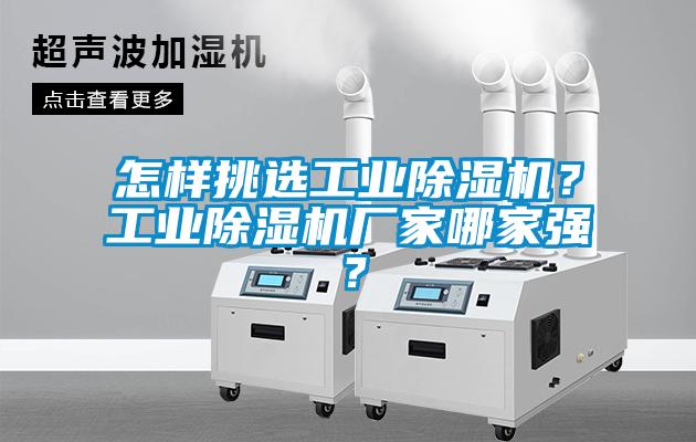 怎樣挑選工業草莓视频下载网址？工業草莓视频下载网址廠家哪家強？