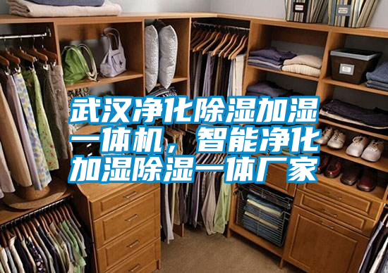 武漢淨化除濕加濕一體機，智能淨化加濕除濕一體廠家