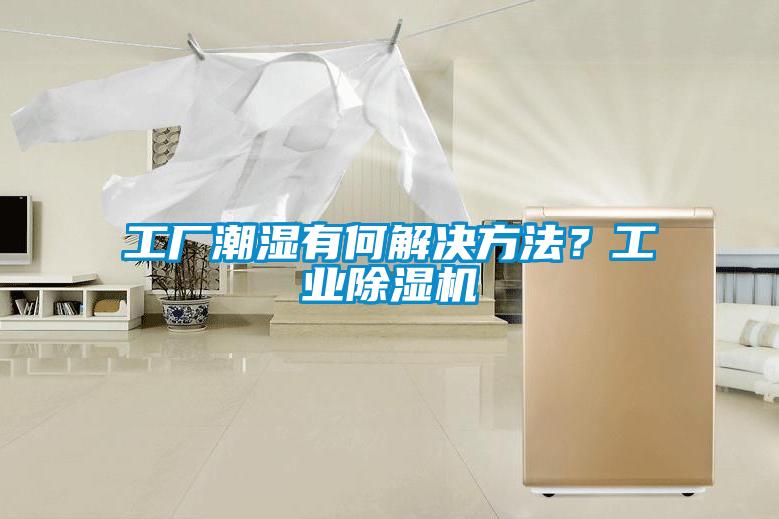 工廠潮濕有何解決方法？工業草莓视频下载网址