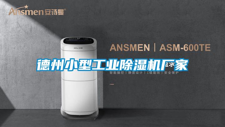 德州小型工業草莓视频下载网址廠家