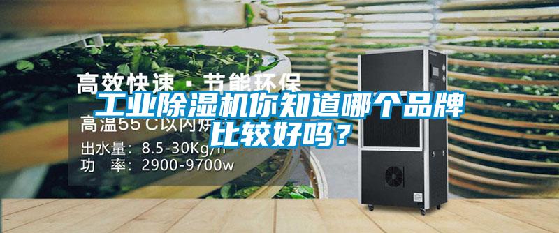 工業草莓视频下载网址你知道哪個品牌比較好嗎？