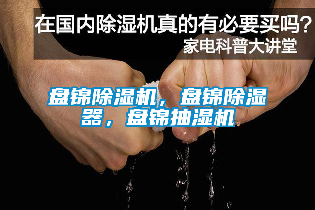 盤錦草莓视频下载网址，盤錦除濕器，盤錦抽濕機