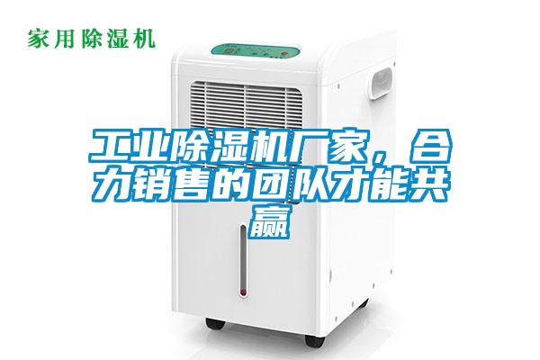 工業草莓视频下载网址廠家，合力銷售的團隊才能共贏