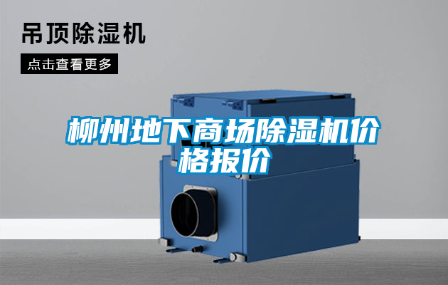 柳州地下商場草莓视频下载网址價格報價