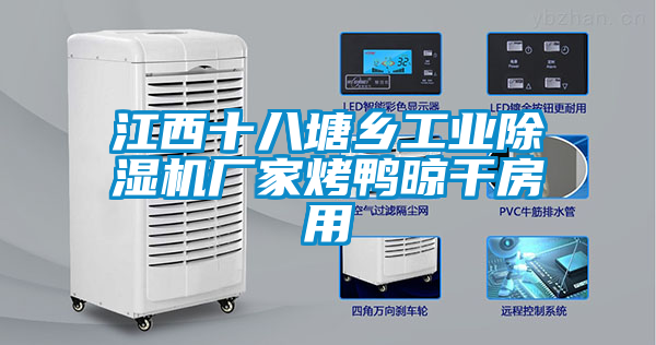 江西十八塘鄉工業草莓视频下载网址廠家烤鴨晾幹房用