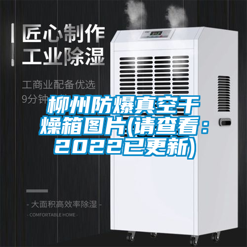 柳州防爆真空幹燥箱圖片(請查看：2022已更新)