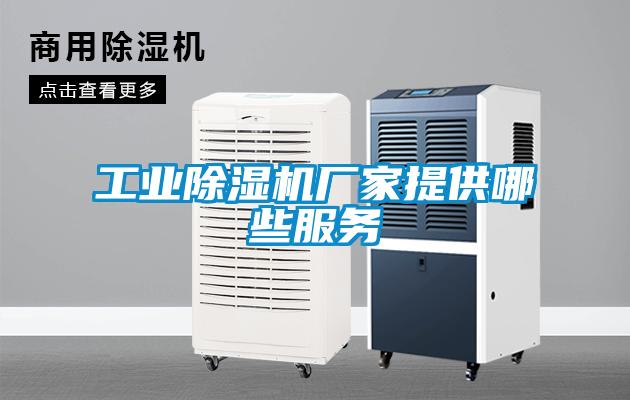 工業草莓视频下载网址廠家提供哪些服務