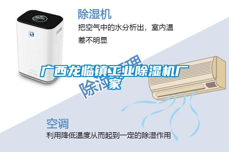 廣西龍臨鎮工業草莓视频下载网址廠家