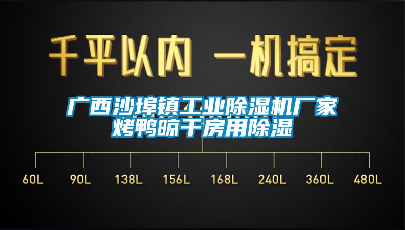 廣西沙埠鎮工業草莓视频下载网址廠家烤鴨晾幹房用除濕