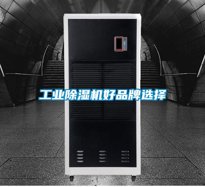 工業草莓视频下载网址好品牌選擇