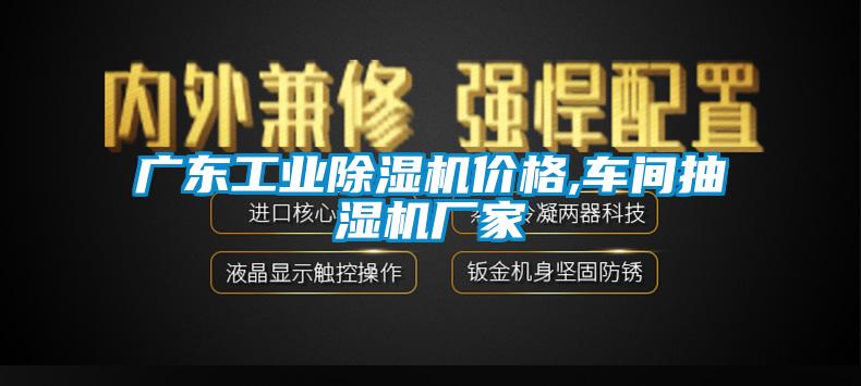 廣東工業草莓视频下载网址價格,車間抽濕機廠家