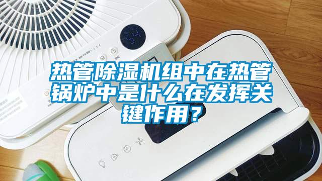 熱管草莓视频下载网址組中在熱管鍋爐中是什麽在發揮關鍵作用？