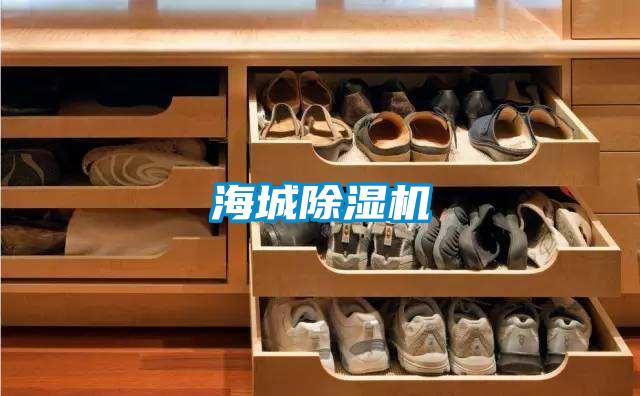 海城草莓视频下载网址