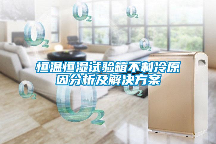 恒溫恒濕試驗箱不製冷原因分析及草莓视频下载IOS