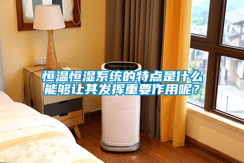恒溫恒濕係統的特點是什麽能夠讓其發揮重要作用呢？