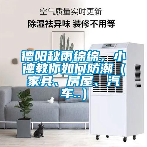 德陽秋雨綿綿，小德教你如何防潮（家具、房屋、汽車..）