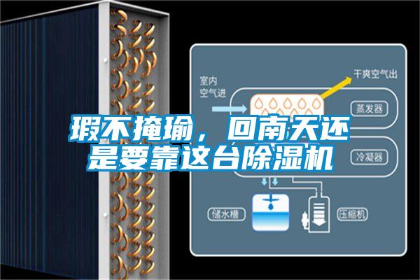 瑕不掩瑜，回南天還是要靠這台草莓视频下载网址