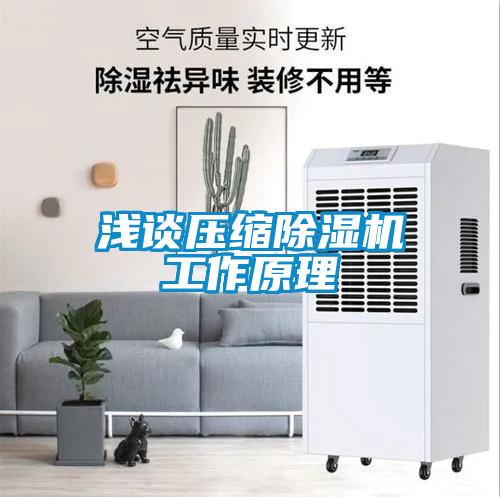 淺談壓縮草莓视频下载网址工作原理
