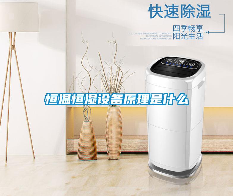 恒溫恒濕設備原理是什麽