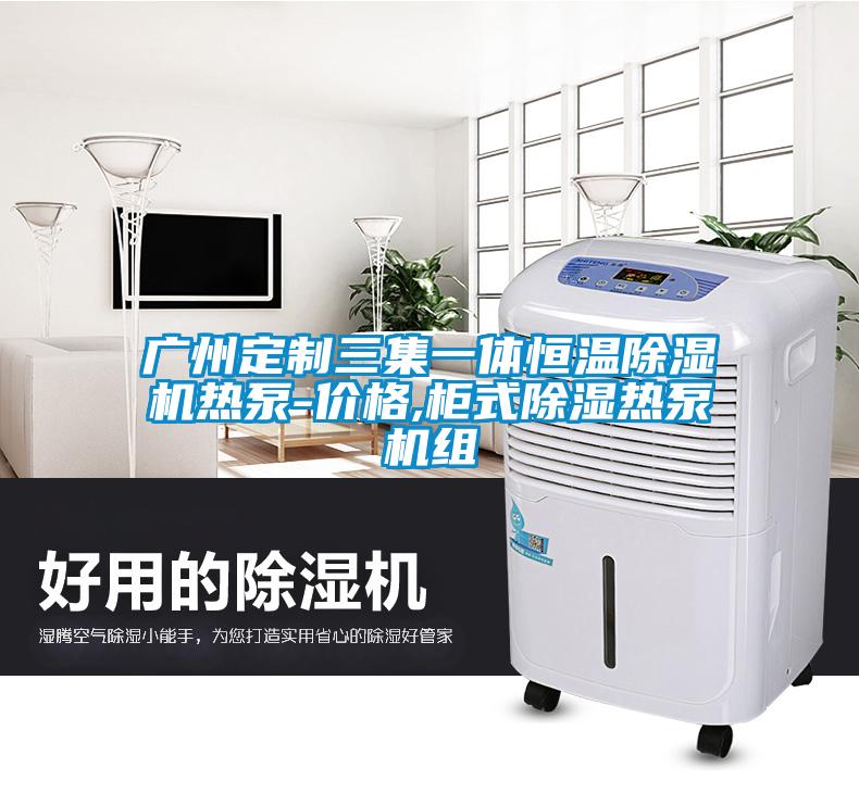 廣州定製三集一體恒溫草莓视频下载网址熱泵-價格,櫃式除濕熱泵機組