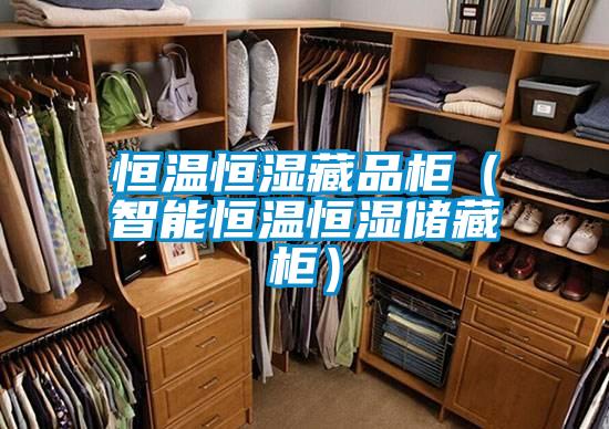 恒溫恒濕藏品櫃（智能恒溫恒濕儲藏櫃）