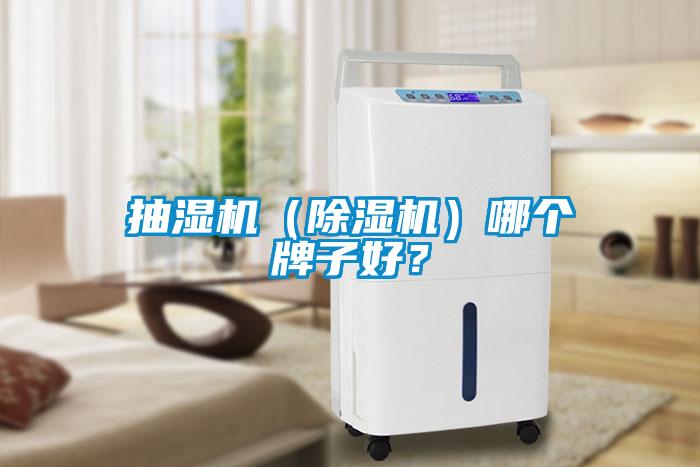 抽濕機（草莓视频下载网址）哪個牌子好？