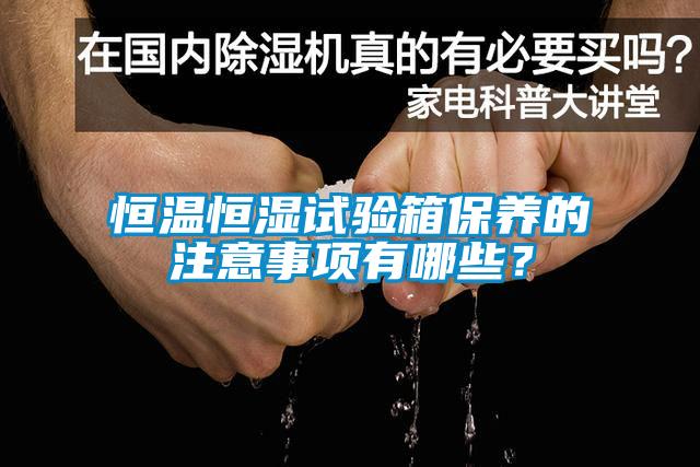 恒溫恒濕試驗箱保養的注意事項有哪些？